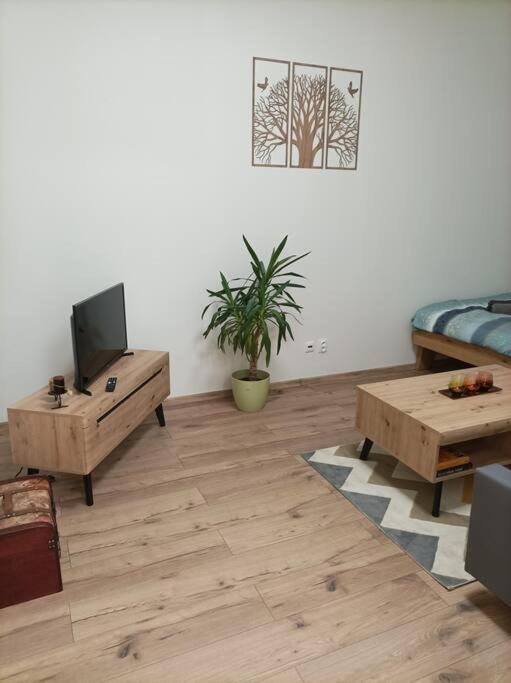 Stylovy Apartman Zemplinska เปรเชา ภายนอก รูปภาพ