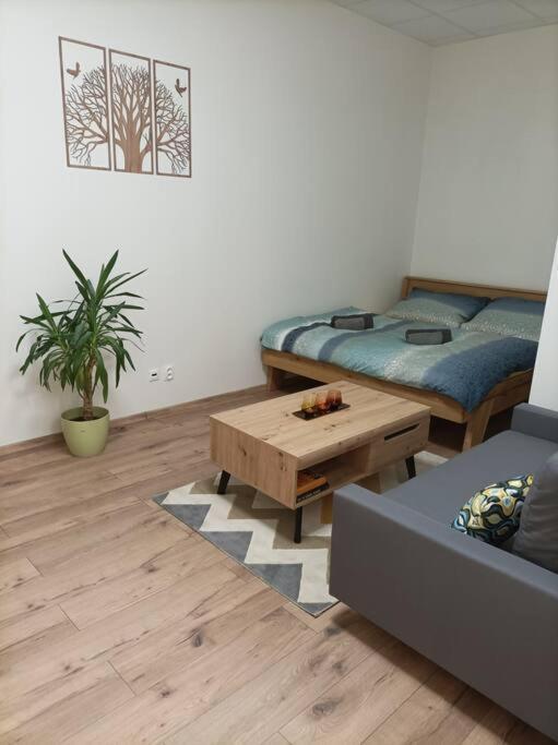 Stylovy Apartman Zemplinska เปรเชา ภายนอก รูปภาพ
